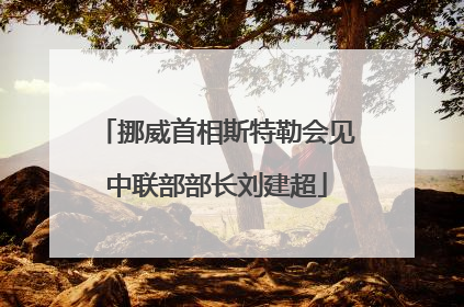 挪威首相斯特勒会见中联部部长刘建超