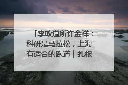 李政道所许金祥：科研是马拉松，上海有适合的跑道｜扎根上海，从0到1
