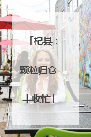 杞县：颗粒归仓丰收忙