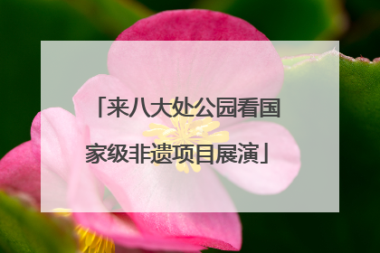 来八大处公园看国家级非遗项目展演