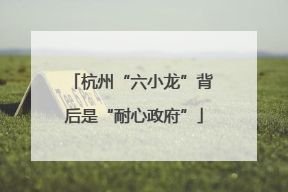 杭州“六小龙”背后是“耐心政府”