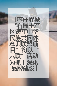 枣庄峄城“石榴主产区铸牢中华民族共同体意识联盟项目”将以“六联”活动为抓手深化品牌建设
