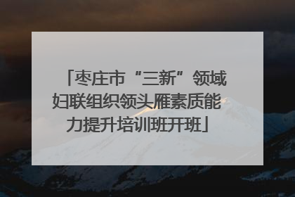 枣庄市“三新”领域妇联组织领头雁素质能力提升培训班开班