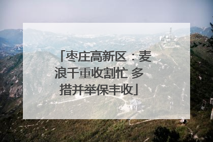 枣庄高新区：麦浪千重收割忙 多措并举保丰收
