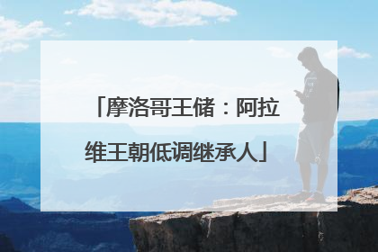摩洛哥王储：阿拉维王朝低调继承人