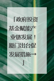 政府投资基金赋能产业链发展！厦门出台促发展措施→