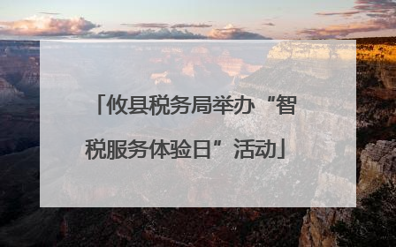 攸县税务局举办“智税服务体验日”活动