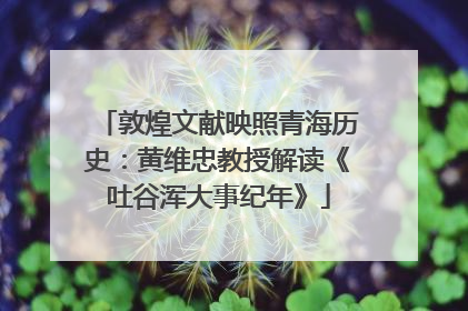 敦煌文献映照青海历史：黄维忠教授解读《吐谷浑大事纪年》