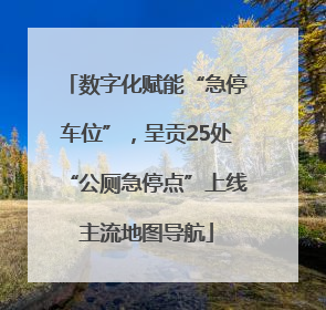 数字化赋能“急停车位”，呈贡25处“公厕急停点”上线主流地图导航
