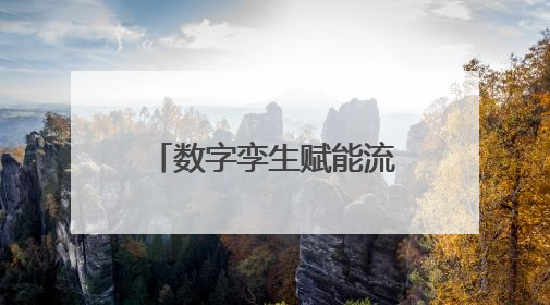数字孪生赋能流域治理，为全省水治理现代化实践贡献“长沙智慧”