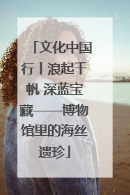 文化中国行丨浪起千帆 深蓝宝藏——博物馆里的海丝遗珍