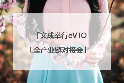 文成举行eVTOL全产业链对接会