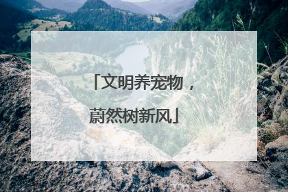 文明养宠物，蔚然树新风