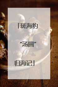 斑海豹“汤圆”归海记