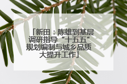 新田：陈雄到基层调研指导“十五五”规划编制与城乡品质大提升工作