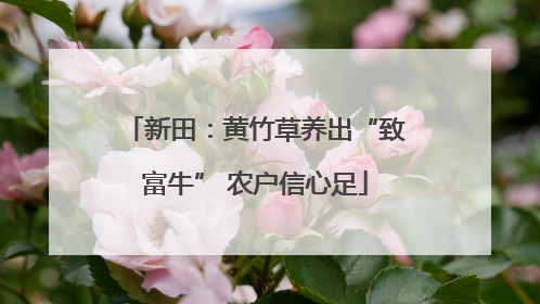 新田：黄竹草养出“致富牛” 农户信心足