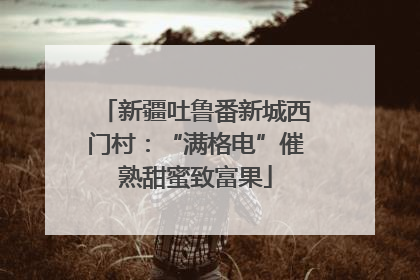 新疆吐鲁番新城西门村：“满格电”催熟甜蜜致富果