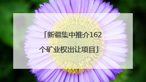 新疆集中推介162个矿业权出让项目