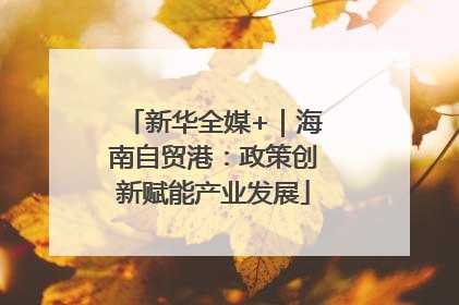 新华全媒+｜海南自贸港：政策创新赋能产业发展