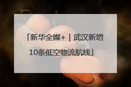 新华全媒+｜武汉新增10条低空物流航线