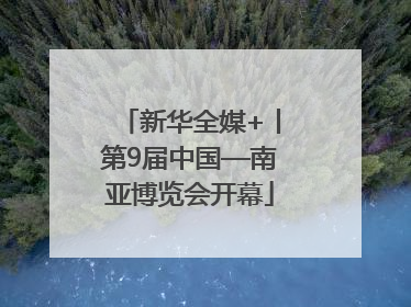 新华全媒+丨第9届中国—南亚博览会开幕