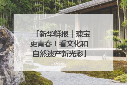 新华鲜报｜瑰宝更青春！看文化和自然遗产新光彩