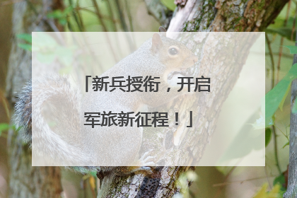 新兵授衔，开启军旅新征程！