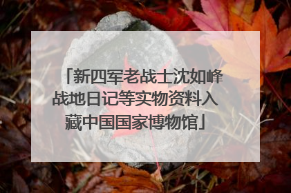 新四军老战士沈如峰战地日记等实物资料入藏中国国家博物馆