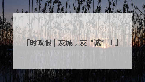 时政眼｜友城，友“诚”！