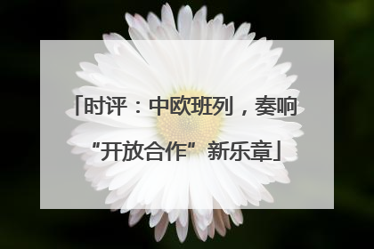 时评：中欧班列，奏响“开放合作”新乐章