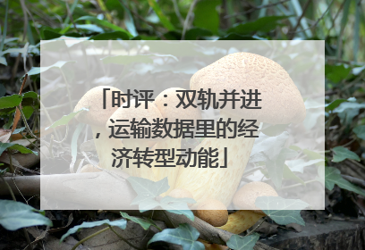 时评：双轨并进，运输数据里的经济转型动能