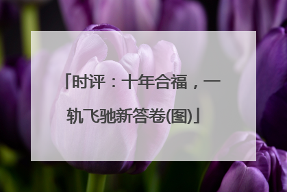 时评：十年合福，一轨飞驰新答卷(图)
