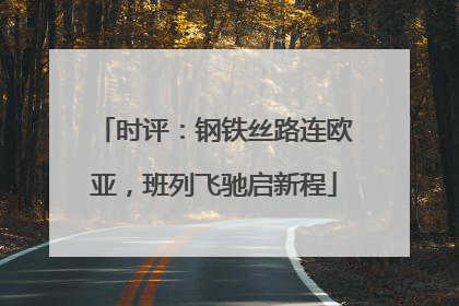 时评：钢铁丝路连欧亚，班列飞驰启新程