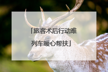 旅客术后行动难 列车暖心帮扶
