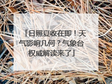 日照夏收在即！天气影响几何？气象台权威解读来了