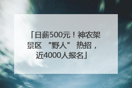 日薪500元！神农架景区 “野人” 热招，近4000人报名