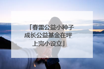 春雷公益小种子成长公益基金在坪上完小设立