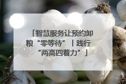 智慧服务让预约卸粮“零等待”丨践行“两高四着力”