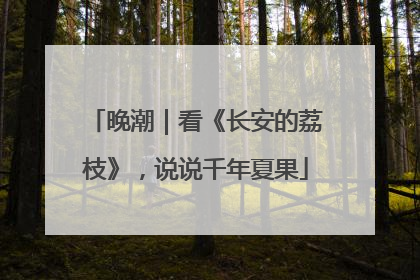 晚潮｜看《长安的荔枝》，说说千年夏果