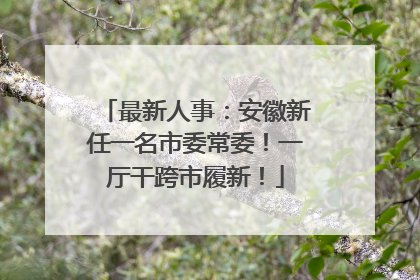 最新人事：安徽新任一名市委常委！一厅干跨市履新！