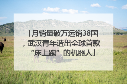 月销量破万远销38国，武汉青年造出全球首款“床上跑”的机器人