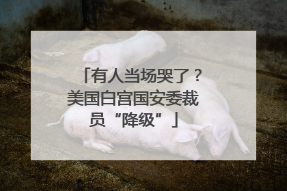 有人当场哭了？美国白宫国安委裁员“降级”