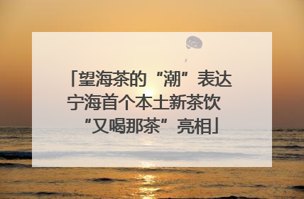 望海茶的“潮”表达 宁海首个本土新茶饮“又喝那茶”亮相
