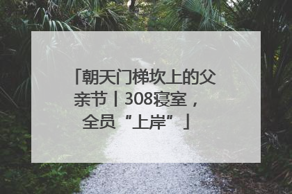 朝天门梯坎上的父亲节丨308寝室，全员“上岸”