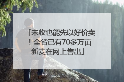 未收也能先以好价卖！全省已有70多万亩新麦在网上售出