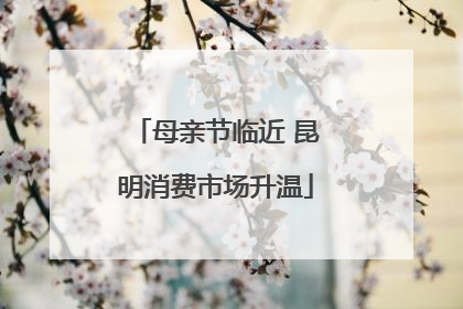 母亲节临近 昆明消费市场升温