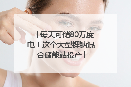 每天可储80万度电！这个大型锂钠混合储能站投产