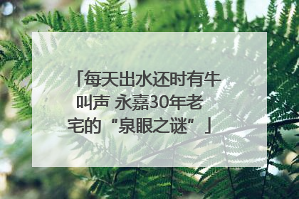 每天出水还时有牛叫声 永嘉30年老宅的“泉眼之谜”