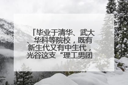 毕业于清华、武大、华科等院校，既有新生代又有中生代，光谷这支“理工男团”为何“出道”？