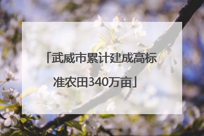 武威市累计建成高标准农田340万亩